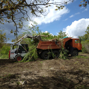 Вывоз древесных отходов